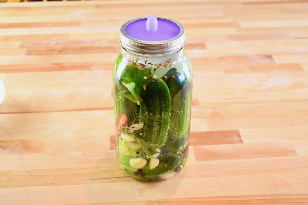 Cucumber pickles fermenting in jar